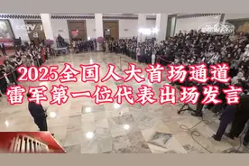 2025全国人大首场通道雷军第一位代表出场发言视频封面