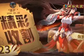 王者荣耀胖猫事件视频封面