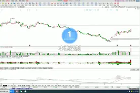 宏博股份行情解读