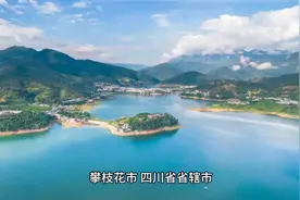 麻雀虽小五脏俱全，说的就是咱们攀枝花视频封面