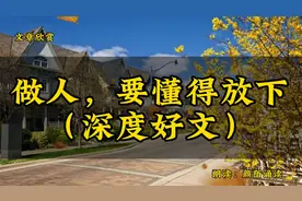 散文欣赏《做人，要懂得放下》人最大的本事是做得到放得下去视频封面