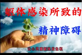 身体的小恙，心灵的大困扰：躯体感染与精神障碍