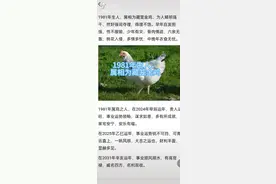 1981年的属鸡人，2024年开始将迎来好运连连，事业蒸蒸日上视频封面