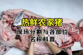 现场分割猪肉科普每个部位的名称！你是否学废！