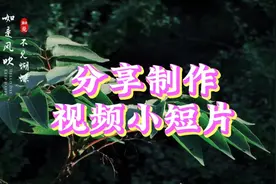 三星s23ultra拍摄技巧分享：如何使用超长焦创作一部视频小短片视频封面
