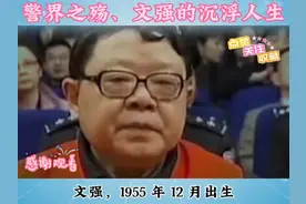 警界之殇：文强从英雄到罪人的堕落、沉浮人生视频封面