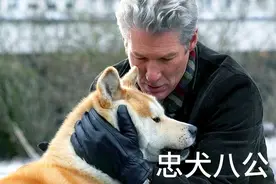 这真是漫长的一生啊，小八