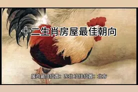 #见者好运 #国学文化 
十二生肖房屋最佳朝向