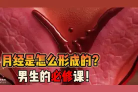 你知道女性月经周期的变化吗？月经是怎么形成的呢？男生的必修课
