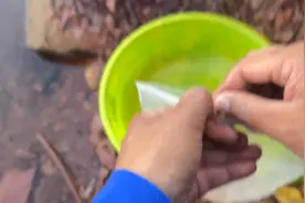 先放拉丝粉与后放拉丝粉效果明显不一样，这属于开饵基本手法视频封面