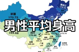 我国各省男性平均身高排名视频封面