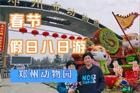 春节假日八日游-郑州动物园视频封面