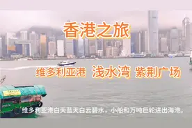 到香港必打卡的地方:浅水湾，维多利亚港，紫荆广场，美到醉。视频封面