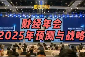 李稻葵：2025年经济形势预测与战略！完整分析！视频封面
