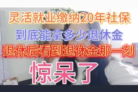 灵活就业缴纳20年社保，到底能拿多少退休金，看到退休金，惊呆了视频封面