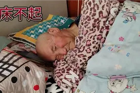 老丈人不起床，梦里官越做越大视频封面