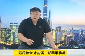 万斤粮食，才能买一部苹果手机！我们该让工业反哺农业了视频封面