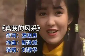 刘德华《真我的风采》经典再现风采依旧视频封面