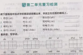 五年级下语文第二单元复习检测视频封面