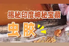 揭秘印度神秘宝藏：虫胶，你未曾领略的千年工艺魅力