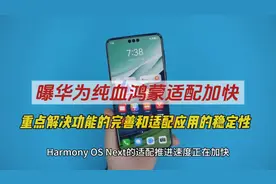 曝华为纯血鸿蒙适配加快，重点解决功能的完善和适配应用的稳定性视频封面