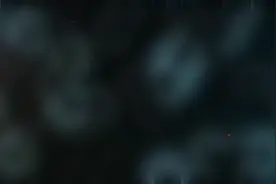 我的游戏日常，蛋仔派对游戏，想跟主播玩的可以加主播好友哦