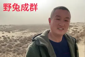 沙漠里动物和植物的资源非常丰富，特别是一个野兔！视频封面