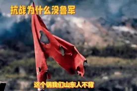抗战为什么没鲁军视频封面