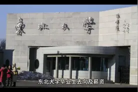 东北大学毕业生去向及薪资视频封面
