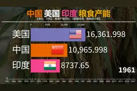 中印美粮食产能对比，中国为何产量第一确还是粮食进口大国。视频封面