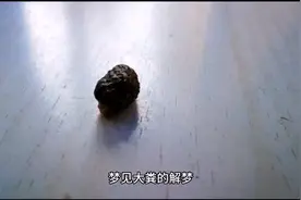 梦见粪便的解梦视频封面