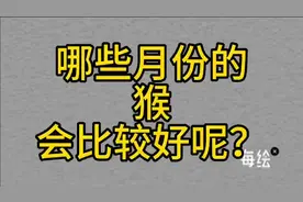 都说数猴的聪明伶俐，哪些月份的猴最好呢，看看就知道了视频封面