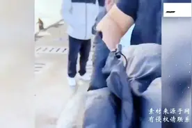 女子落水，大哥毫不犹豫脱衣服下水救人👍视频封面