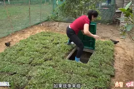 惊！女子小院自建地下庇护所，钢筋混凝土超硬核
