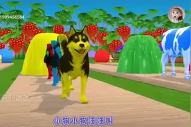小狗小狗汪汪叫视频封面