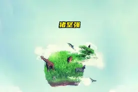 猪坚强：火灾中全身烧伤的猪竟痊愈了视频封面