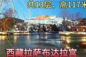 西藏拉萨布达拉宫，由白宫，红宫组成共13层主高117米海拨3700米视频封面