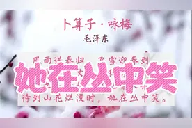 卜算子·咏梅 毛泽东 待到山花烂漫时，她在丛中笑视频封面