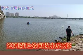 辽宁盘锦，具有“中国湿地之都”的美誉，用石头都能砸到鱼，厉害