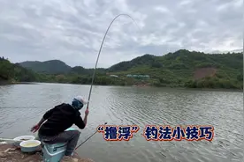 比较流行的“撸浮钓法”，很多钓友说不会，我来分享几个小经验视频封面