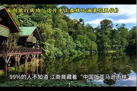 99%的人不知道的隐秘天堂，反向旅行，探秘中国版亚马逊雨林！视频封面