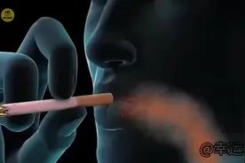 借烟从现在开始，一探究竟！