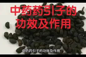中药药引子的功效及作用视频封面