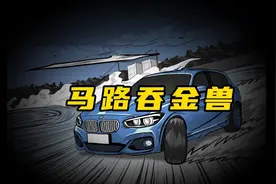 那些你赔不起的马路设施到底有多贵？#冷知识 #科普 #知识科普视频封面