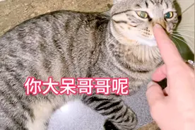 有许多粉丝私信猫妈说找到橱窗也没有搜索功能，教大家一招！