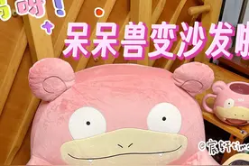 呆呆兽在沙发上睡着了