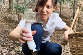 今天运气太好了，采的竹荪一朵比一朵大，一会就收获满满一篮视频封面