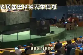 外交部：建议在以色列的中国公民搭乘商业航班尽快回国！