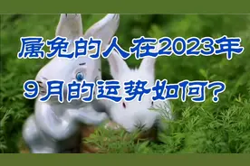 属兔的人在2023年9月的运势如何？