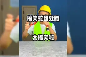 搞笑蛇到处跑
